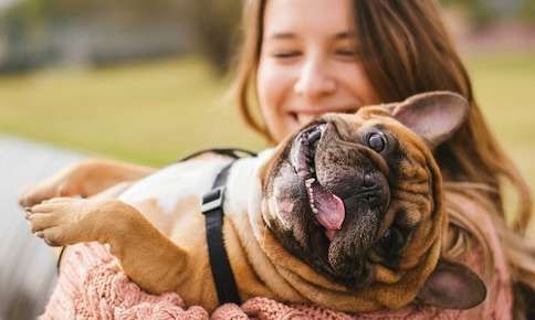 Happy pet with woman
